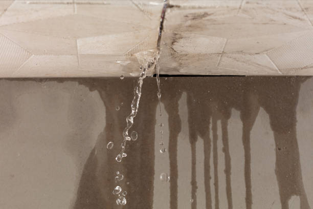 Professional Sewage Cleanup technician working in Evans, CO